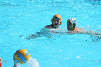 waterpolospain08.png