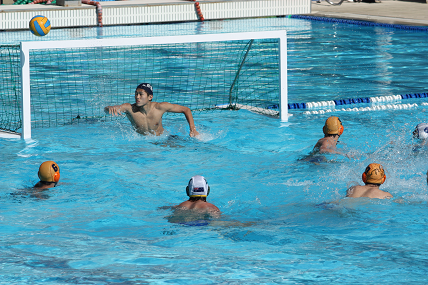 waterpolospain13.png