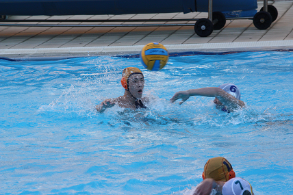 waterpolospain77.png