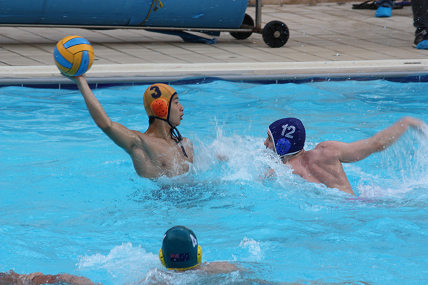 waterpolospain88.png
