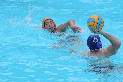 waterpolospain89.png